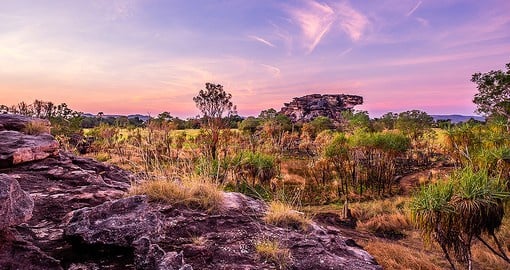 Kakadu is Australia's largest national park