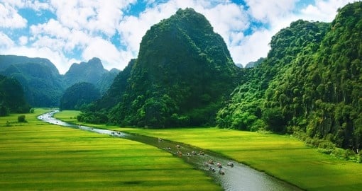 Rice field and river
