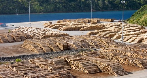 Timber logs in the port of Picton