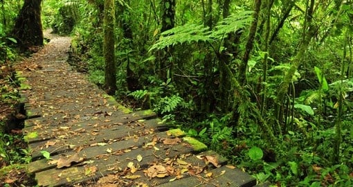 Enjoy the trails on the Monteverde Reserve while on your Costa Rica vacation