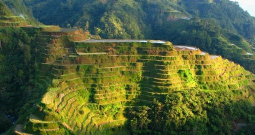 Learn about cultivation efforts made by locals regarding rice plantations on one of your Philippine Tours