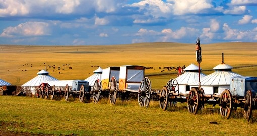 Migration transport in Inner Mongolia