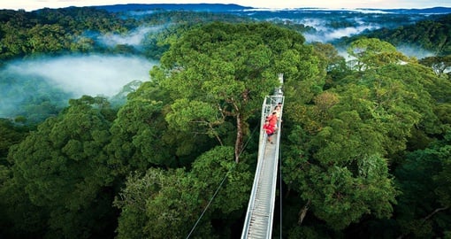 Explore the cloud forests in Monteverde