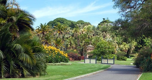 The Royal Botanic Garden, Sydney has existed for more than 200 years