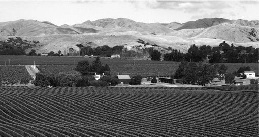 Blenheim is a major grape growing area and is an ideal inclusion to your New Zealand vacation.