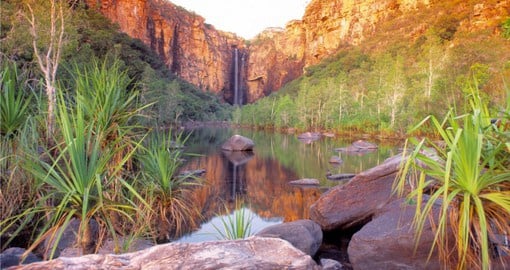 Explore Nature in Kakadu National Park, Australia