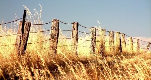 Rural fencing in the outback