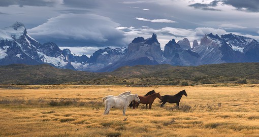 Wind-swept Patagonia stretches for over 1,000 miles
