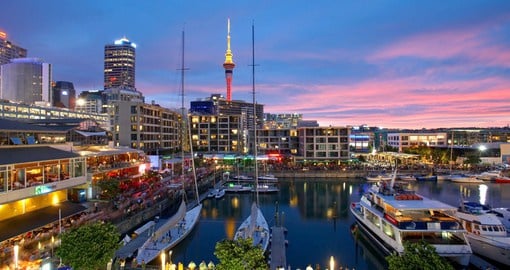 Visit the lively Viaduct Harbour on your New Zealand tours