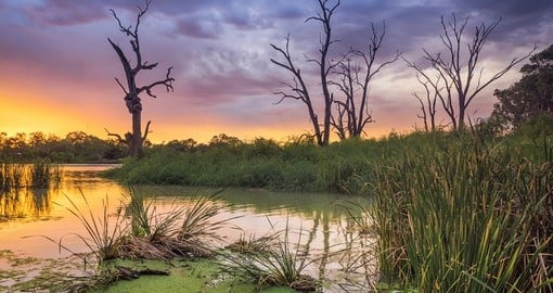 Beautiful view of sunset on the Murray River on your next Australia vacations.