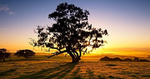Sun rise over the Clare Valley - a great experience to be included on Australia vacations.
