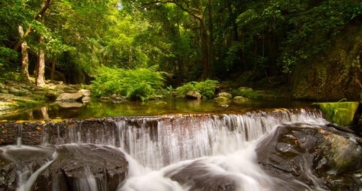 A tropical rainforest and water fall near Cairns