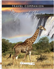 Magic of Africa Companion Book