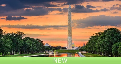 Teeming with historic monuments and museums, Washington is one of the most visited cities in the U.S.