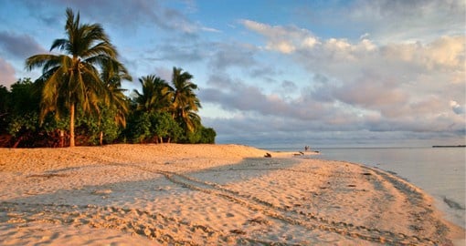 Turtle Island is a nesting beach and breeding ground for the Green and Hawksbill Turtles