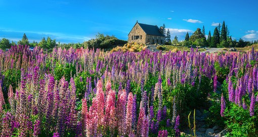 Get a chance to view the Church of the good shepherd on the shores of Lake Tekapo Canterbury Province on your next vacations