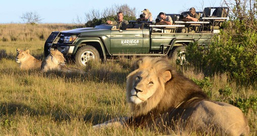 Established in 1989, Kariega is a refuge for the endangered wildlife of the Eastern Cape