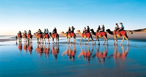 Camel experience, Australia