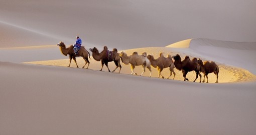 A desert caravan