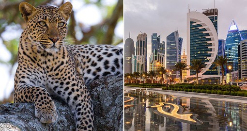 Visit the Masai Mara and futuristic Doha on this exclusive itinerary from Goway Travel
