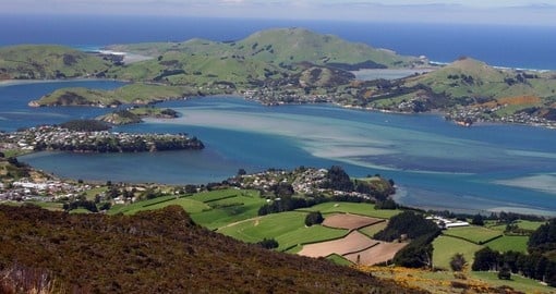 A view of the Dunedin Peninsula