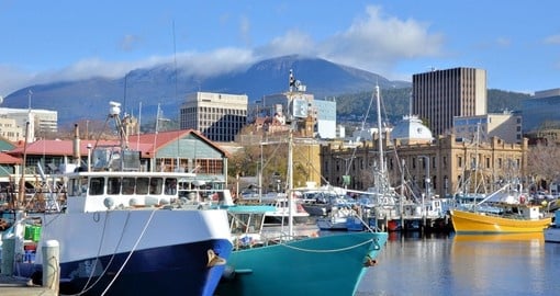Take a walk on the harbor and see fishing Boats in Hobart Harbour during your next Australia tours.
