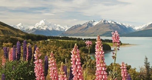 Explore South Island on your next Downunder vacations.