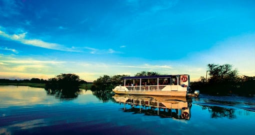 Cruise on the Yellow Water Billabong Kakadu