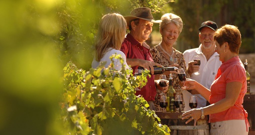 Group drinking wine at vineyard