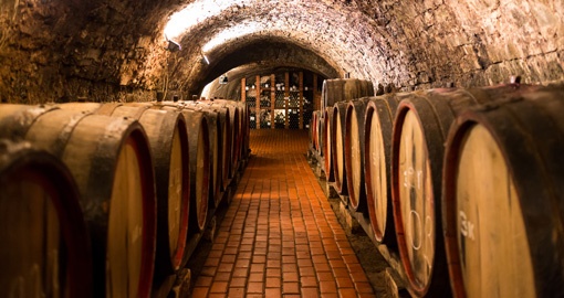 Vine Cellar, Porto, Portugal