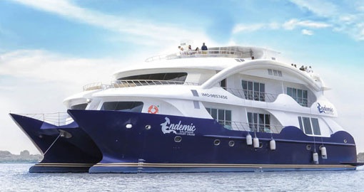 M/Y Endemic Cruise Ship