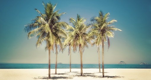 Palms on Copacabana Beach