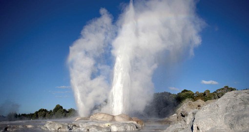 Experience New Zealand's geothermal activity at Rotorua