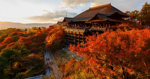 Experience the Kiyomizu-dera temple on your trip to Japan