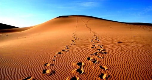 Footprints in the Gobi Desert
