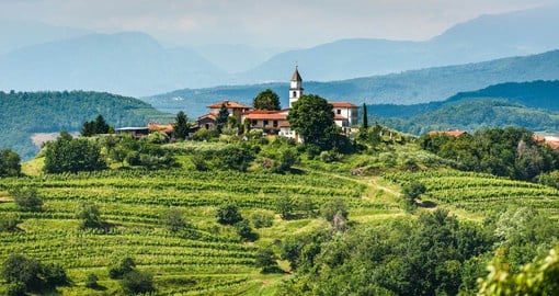 Goriska Brda, the “Tuscany of Slovenia” is the country’s top wine producing region
