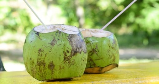Tropical green coconuts opened for drinking