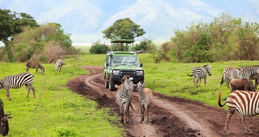 Game drive in Ngorongoro Crater