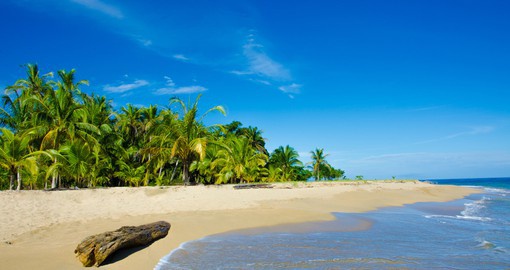 With coastlines on the Caribbean and Pacific, Costa Rica is home to some of the most beautiful beaches