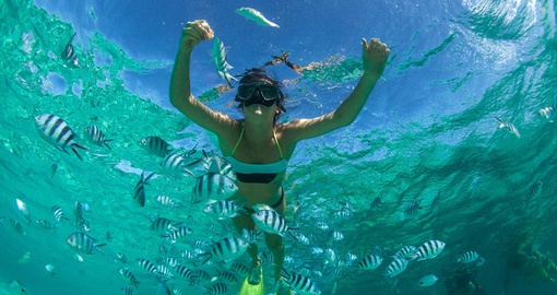 Mauritius is an amazing place to snorkel