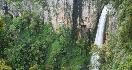 Your Australia Vacations visits spectacular Purling Brook Falls