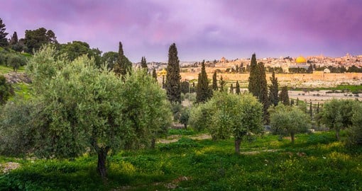 Dating from biblical times, the Mount of Olives offers stunning views of Jerusalem
