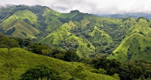 Experience the green hills of Monteverde on your Costa Rica Tour