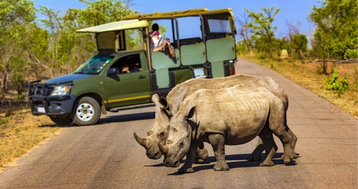 Safaris are a great multi-generational travel idea