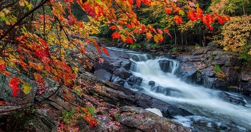 Explore 1 or all of 14 gorgeous waterfall trails in Algonquin Park