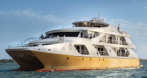 Luxury Yacht Cruising in the Galapagos