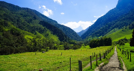 The Cocora valley is one of Colombia's top coffee producing regions