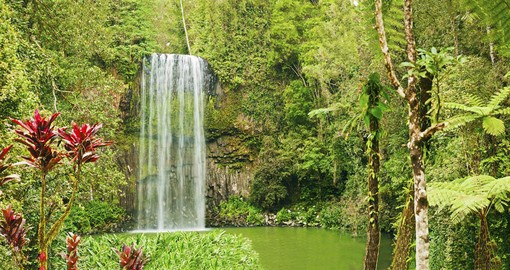 Take the plunge at Millaa Millaa Falls, surrounded by the lush landscapes of the rainforest
