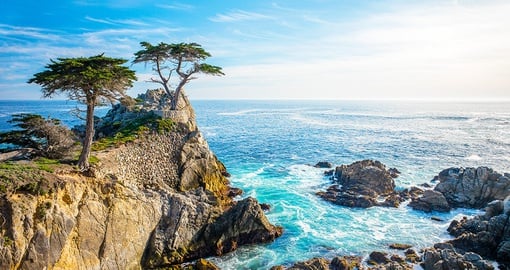 The Lone Cypress, seen from the 17 Mile Drive in Pebble Beach, California