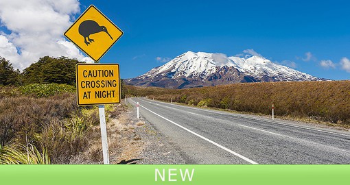 Located within the Tongariro National Park, Mount Ruapehu is New Zealand's largest active volcano